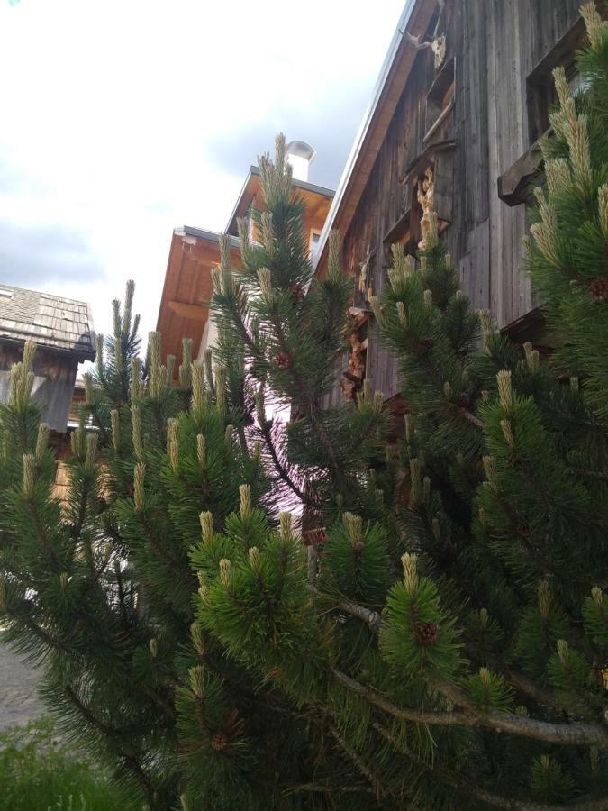 Cianbolpin Guesthouse Canazei Luaran gambar