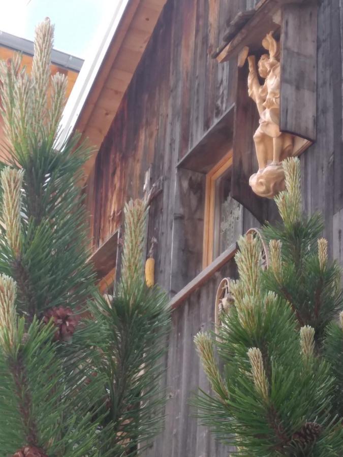 Cianbolpin Guesthouse Canazei Luaran gambar